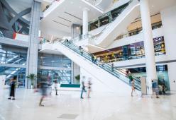 Un gruppo di artisti vive per 4 anni in gran segreto in un centro commerciale