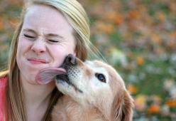 Perché i cani ci leccano la faccia? 