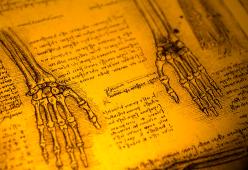 Leonardo da Vinci e la sua passione smisurata per il corpo umano
