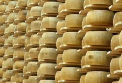 Torino: droga nascosta nelle forme di Grana Padano
