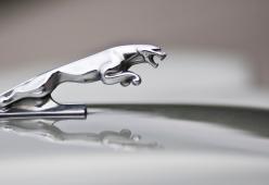 Jaguar Land Rover: quando il lusso si fa green