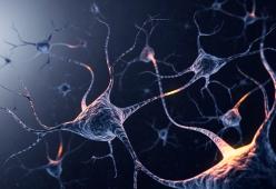 A 2 anni entra nel club delle persone più intelligenti al mondo