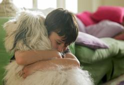 Il cane eroe salva il padroncino dal coma diabetico 