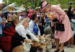 La Regina Elisabetta ha lanciato i suoi biscotti per cani


