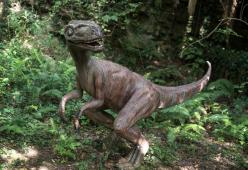 In Florida sembra di essere in Jurassic World: avvistato un piccolo dinosauro