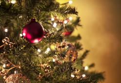 15 euro l’ora per addobbare gli alberi di Natale: l’idea di due sorelle
