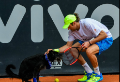 Una squadra di cagnolini raccattapalle parteciperà agli atp di Rio Open 2022
