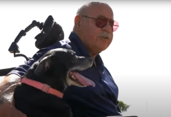 A 81 anni cade nel lago con la carrozzina: il cane lo salva
