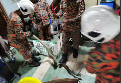 Malesia: mentre gioca ai videogiochi sul water lo morde un serpente