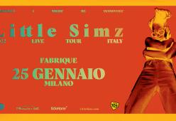 Little Simz: il 25 gennaio 2022 live al Fabrique, unica data italiana