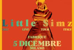 Little Simz: il concerto a Milano è stato rinviato a dicembre del 2022