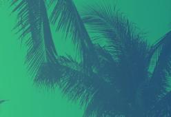 105 Miami Playlist