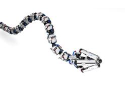 Un istituito italiano di ricerca ha creato un robot lombrico per le esplorazioni sotterranee