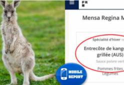 Entrecôte di canguro alla griglia nel menù dell'Università: è polemica