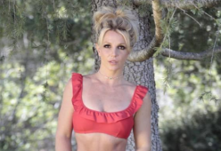 Britney Spears, i fan protestano per chiedere la revoca della custodia da parte del padre
