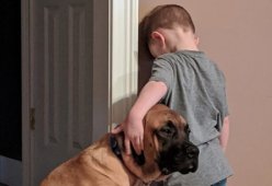 Mettono il bimbo in punizione e il suo cane va con lui per non lasciarlo solo
