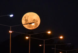 Le spettacolari immagini della Superluna di ieri sera 
