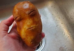 10 illusioni ottiche tutte da ridere 