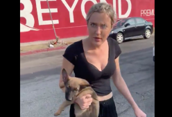 Donna litiga con un ragazzo e gli lancia addosso un cucciolo di cane