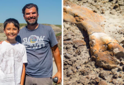 12enne scopre (per caso) uno scheletro di dinosauro di 69 milioni di anni fa