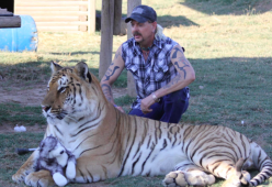 Joe Exotic di "Tiger King" non ha ricevuto la grazia da Trump