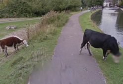 Google Street View compie 15 anni: 4 cose assurde che ha immortalato