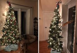 La novità di questo Natale è l'albero a metà: risparmi spazio e decorazioni