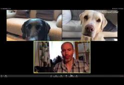 In videoconferenza di lavoro con i suoi cani: il filmato diventa virale