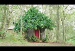 Su Airbnb è disponibile la casa ispirata a WInnie The Pooh