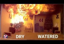 Ecco il video che mostra la velocità con cui prende fuoco un albero di Natale
