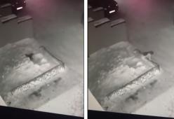 Questa bimba di 6 anni è rimasta miracolosamente illesa dopo una caduta dal quarto piano