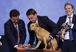 Bolsonaro fa firmare al suo cane una legge contro il maltrattamento di animali