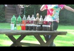 Soda e Mentos: un mix esplosivo!
