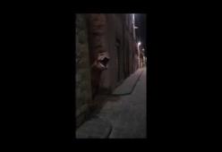 Un dinosauro saltella per le vie di Gubbio: il video esilarante