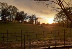 Vitto e alloggio gratis in cambio di aiuto in fattoria