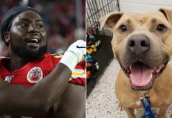 Campione del Super Bowl paga le tasse di adozione per tutti i cani di un rifugio
