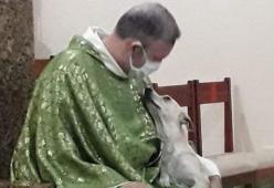 Questo prete brasiliano porta i cani abbandonati a messa per farli adottare