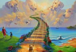 Sapete come nasce la Leggenda del Ponte Arcobaleno, il paradiso dei cani?
