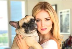 Chiara Ferragni disperata per la sua cagnolina: “La nostra Matilda ha un tumore”
