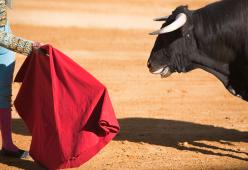 Cancellate 21 corride in Spagna a causa del Covid-19: salvi 120 tori