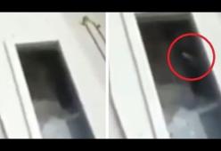Una mano sembra muoversi dentro la bara: il video da brividi di un funerale in Indonesia