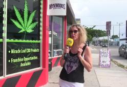 105 Miami ci parla di medical marijuana
