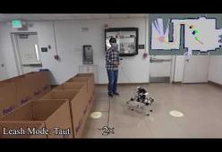 Arriva il cane guida perfetto: è un robot!
