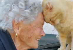 Nonna Dora riabbraccia il suo gatto perso 3 anni fa durante il terremoto del Centro-Italia