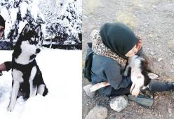 Afghanistan, uccidono il suo husky: "Una donna non può avere un cane" 