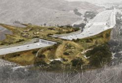 Sorgerà un ponte riservato agli animali per attraversare la strada più trafficata della California