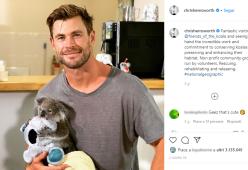 La foto di Chris Hemsworth con il koala fa il pieno di like