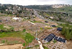 Gerusalemme: scoperta una metropoli di 9000 anni fa 