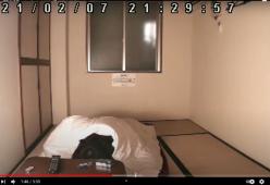 One Dollar Hotel: l’hotel giapponese che costa meno di 1 euro a notte