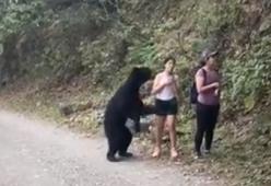 Incontro ravvicinato con un orso, l'escursionista si scatta un selfie: il video è virale